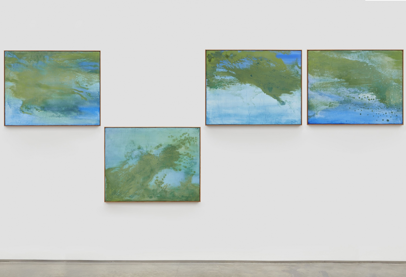 seascape with cianobacteria, 2017