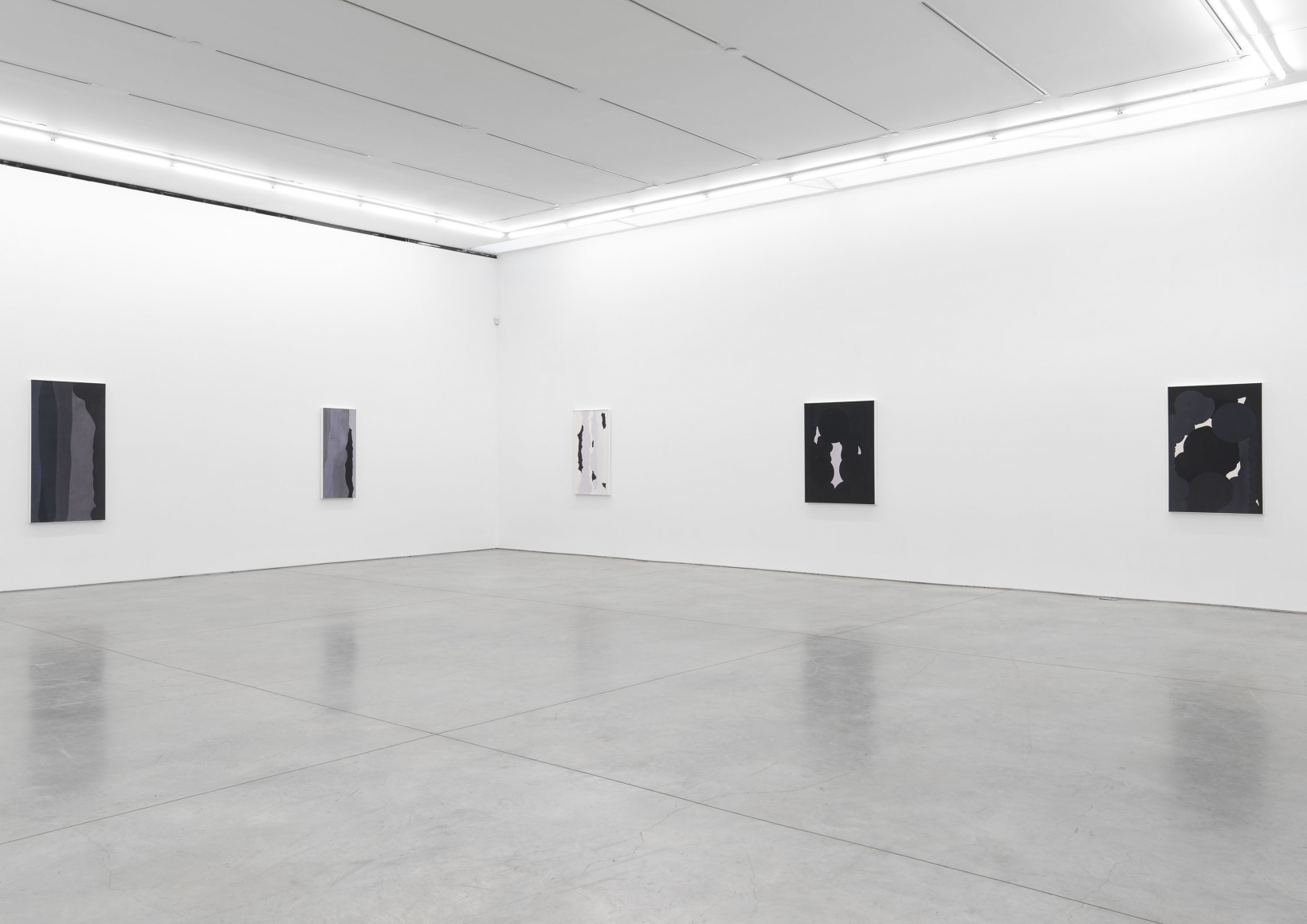 Anthony Pearson (Installation View)