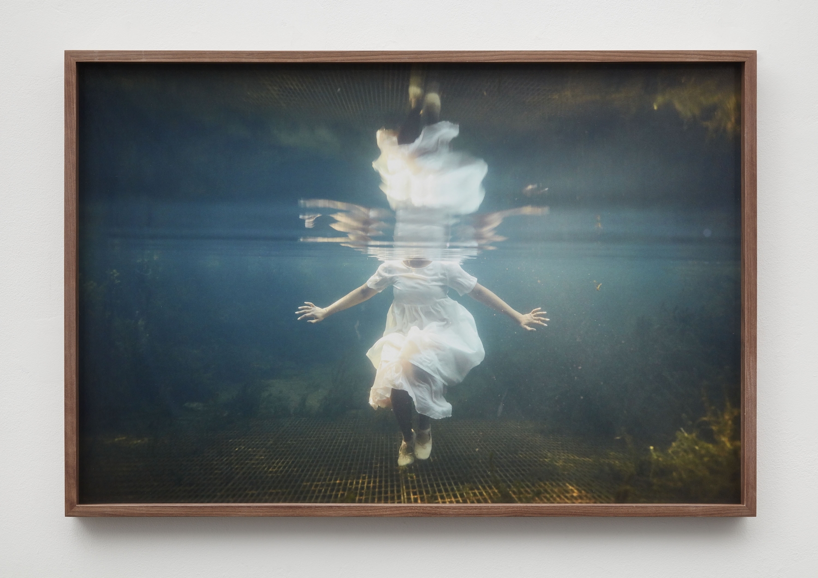 Allison Janae Hamilton, Floridawater IV, 2019