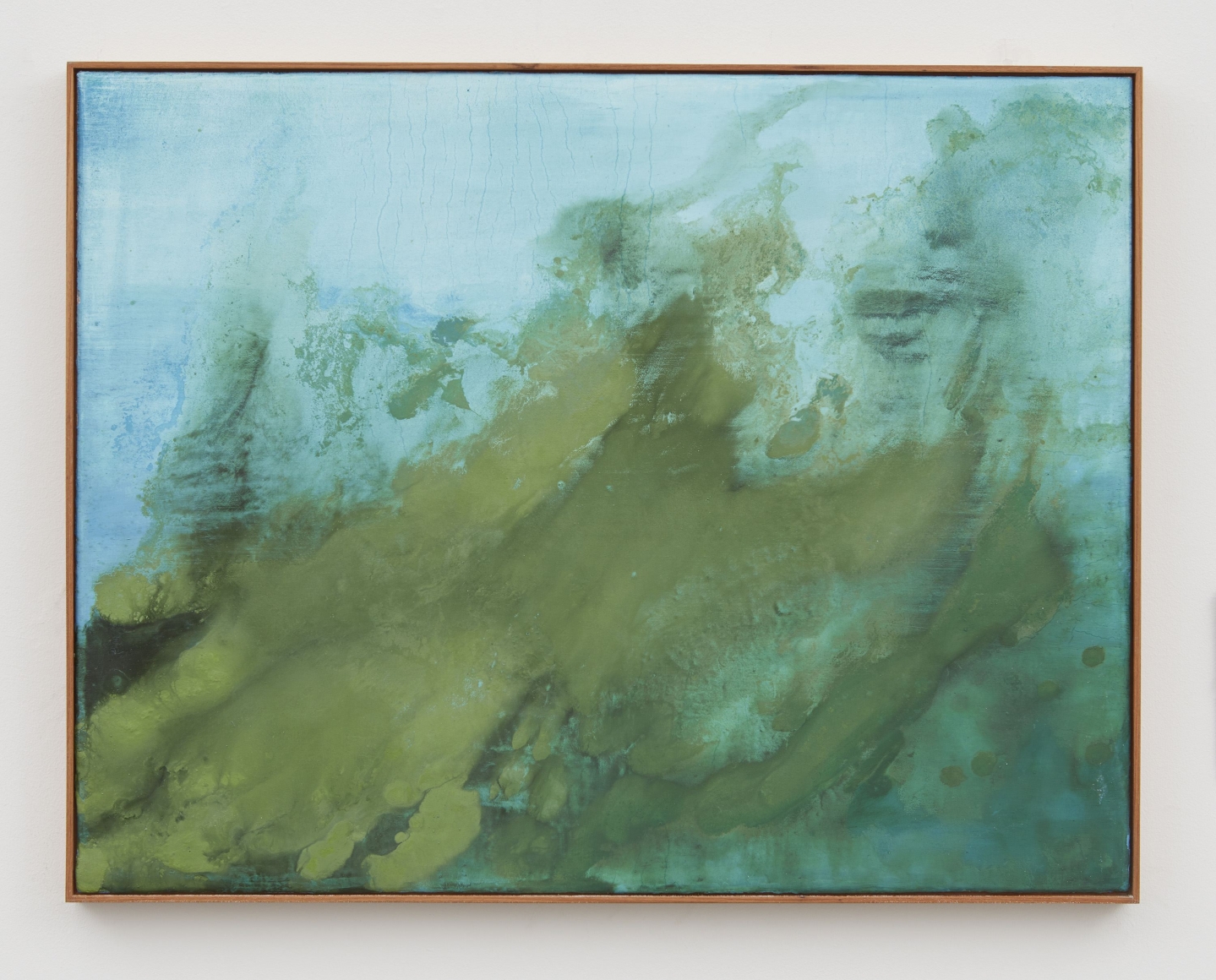 seascape with cianobacteria, 2017