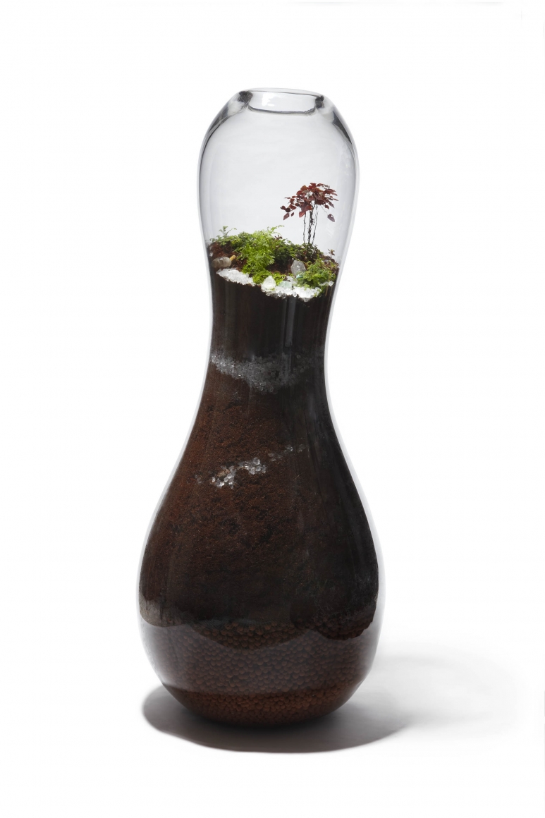vase with plants by paula hayes