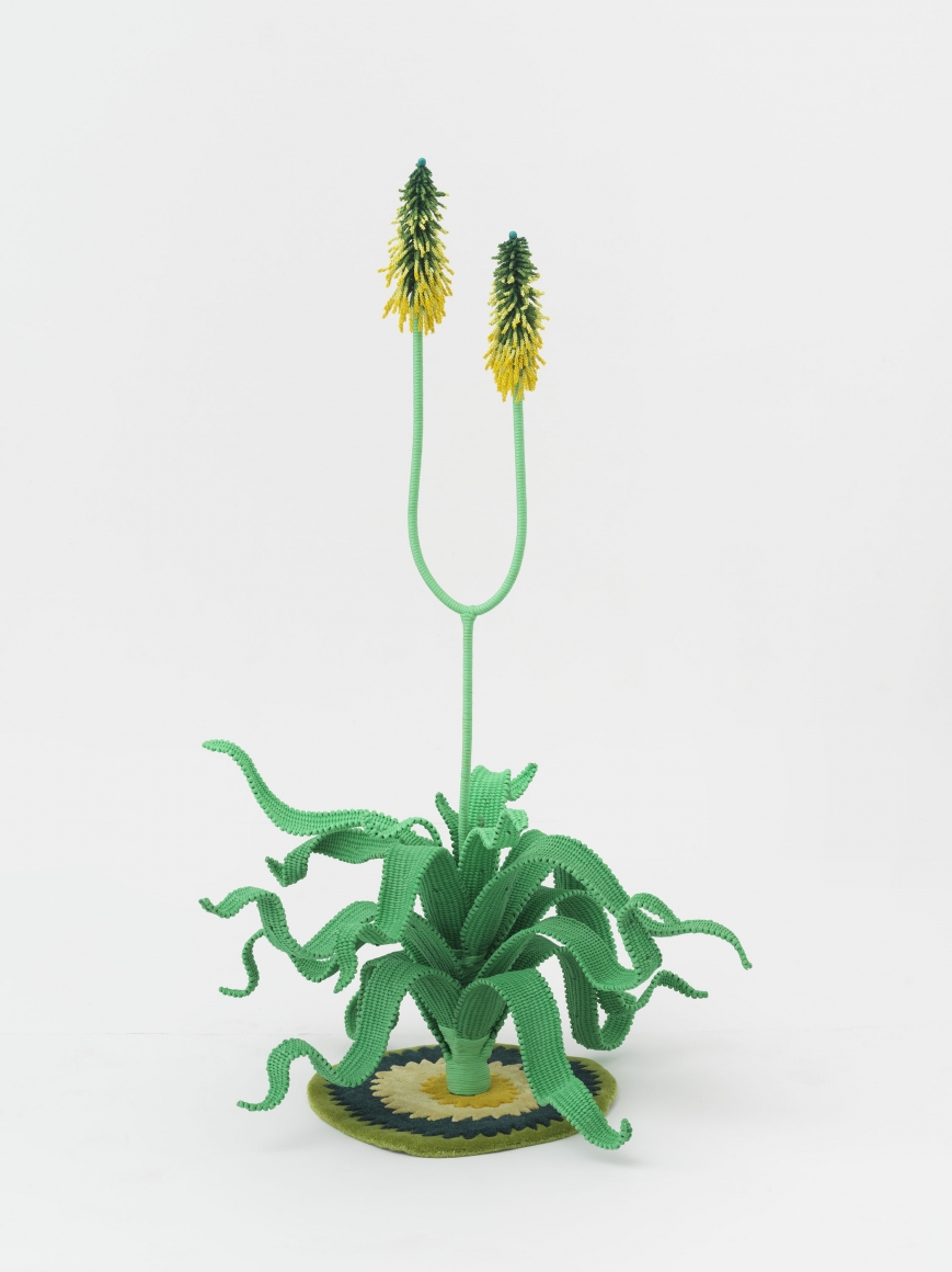 The Haas Brothers, If You See Her, Tell Her Aloe, 2019