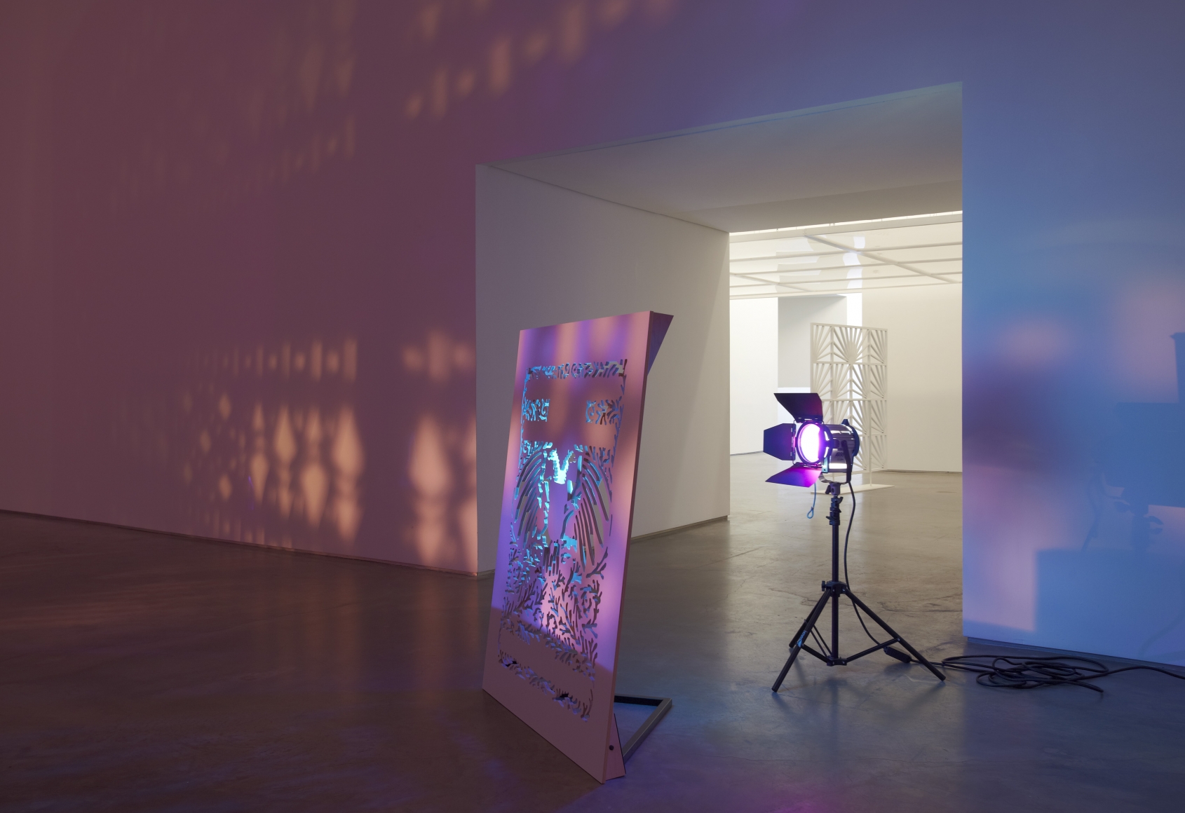 Depiction of a Star Obscured by Another Figure (Installation View), Marianne Boesky Gallery, 2011