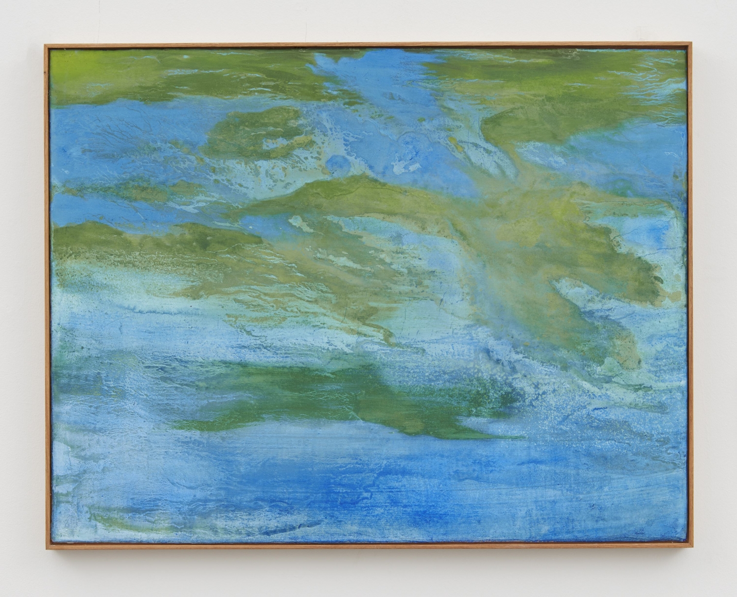 seascape with cianobacteria, 2017