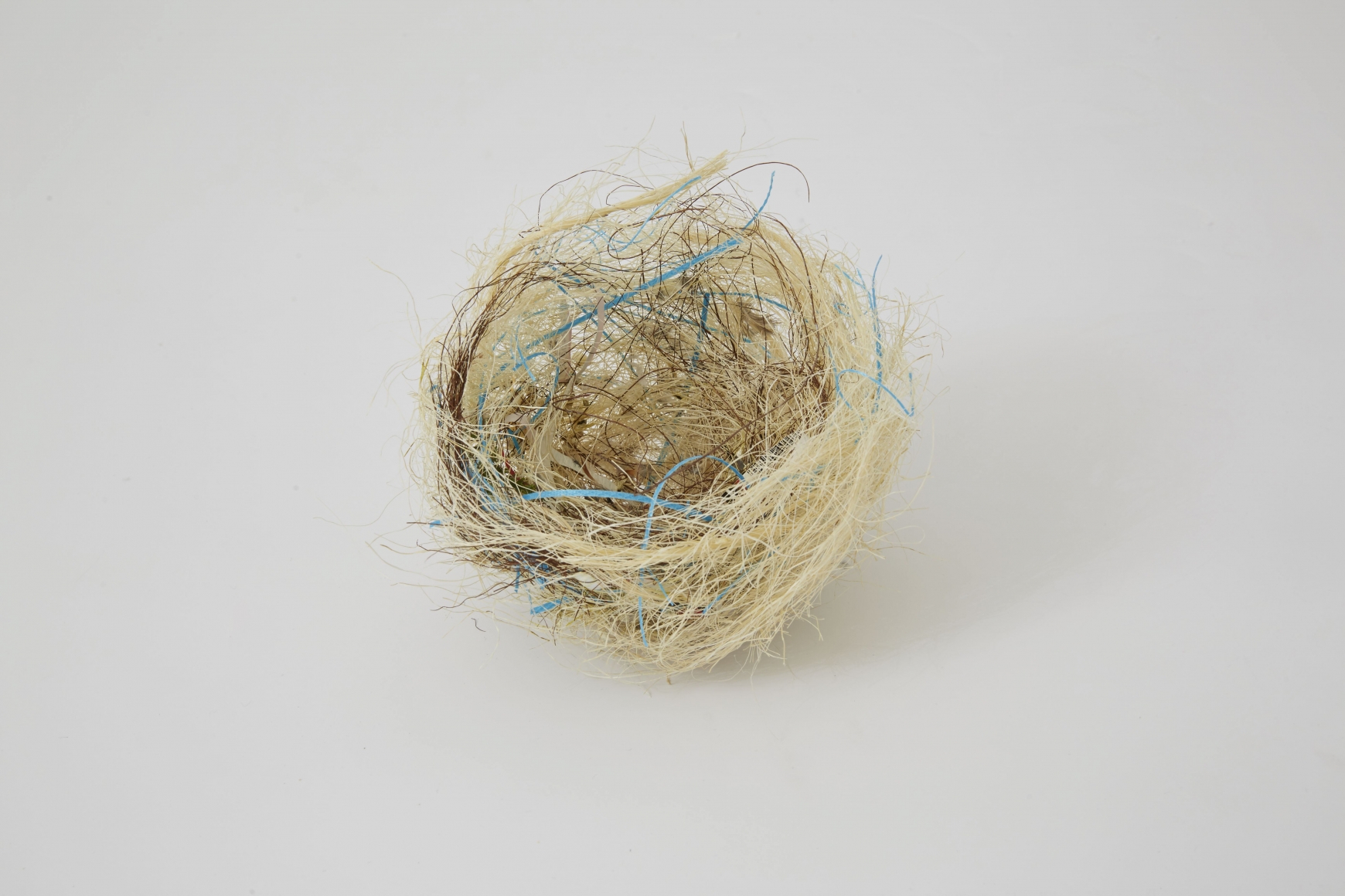 Björn Braun, Untitled (zebra finch nest), 2015