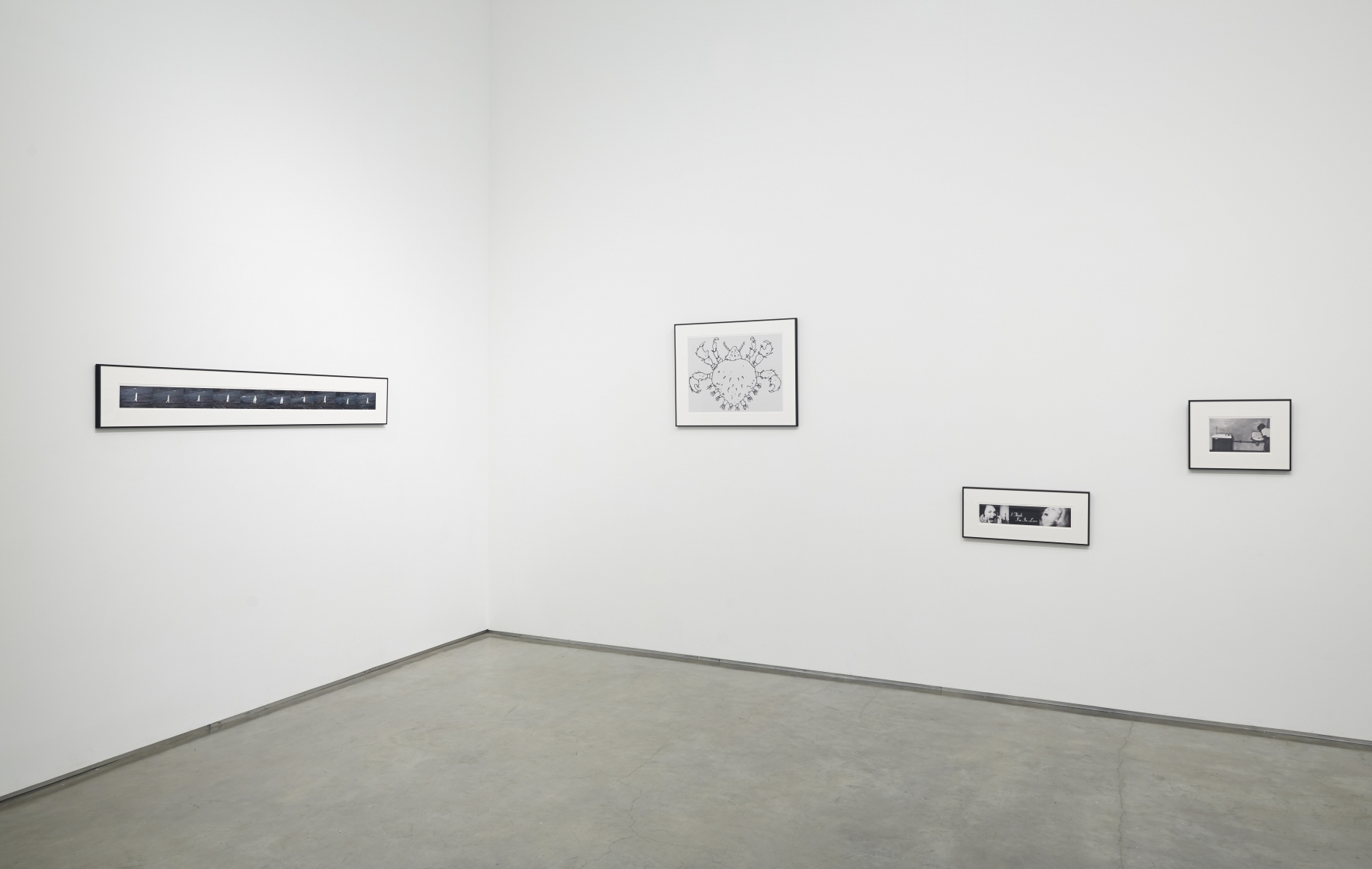 Beverly Hills John (Installation View), Marianne Boesky Gallery, 2015