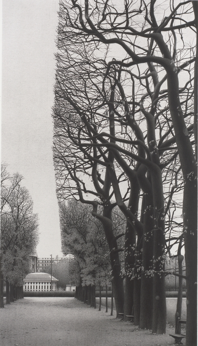 Anthony Mitri 6 Benches, Paris, 2004, charcoal on paper, 30 x 22 1/2 inches, Private Collection