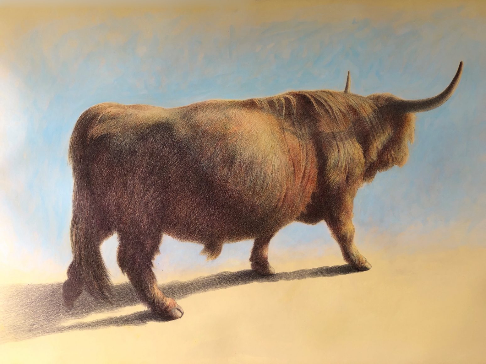 Bull, 2020, ballpoint pen and acrylic on prepared paper, 27 x 40 inches