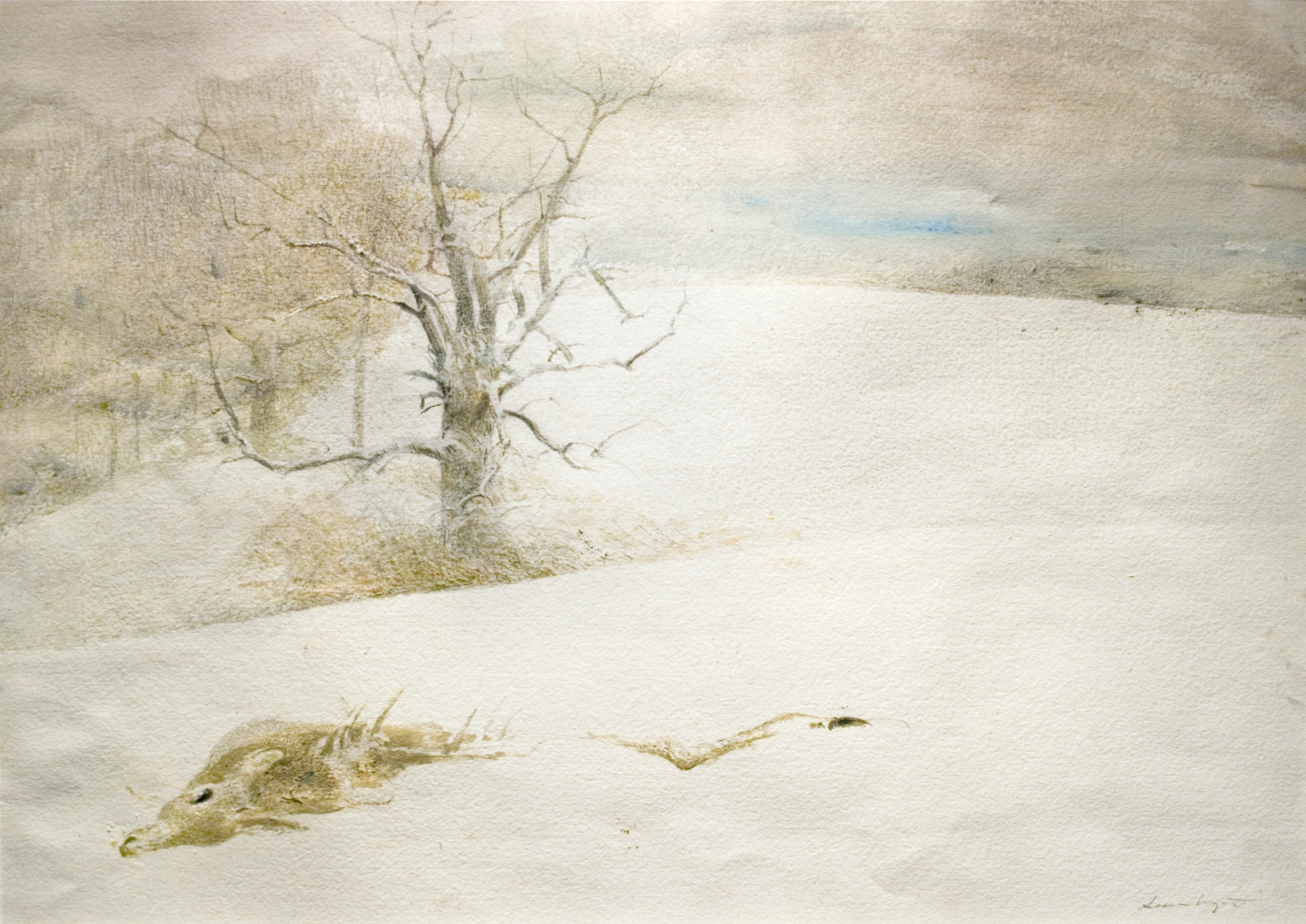 Andrew Wyeth, Fallen Deer, c. 1999 watercolor 25 1/4 x 18 1/2 inches
