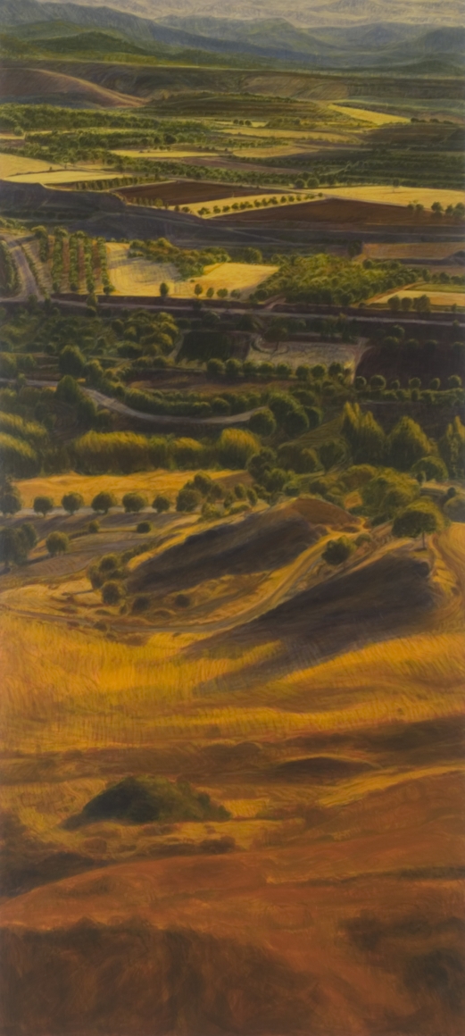 Peter Krausz, (No) Man's Land No. 11, 2008, secco on panel, 80 x 36 inches