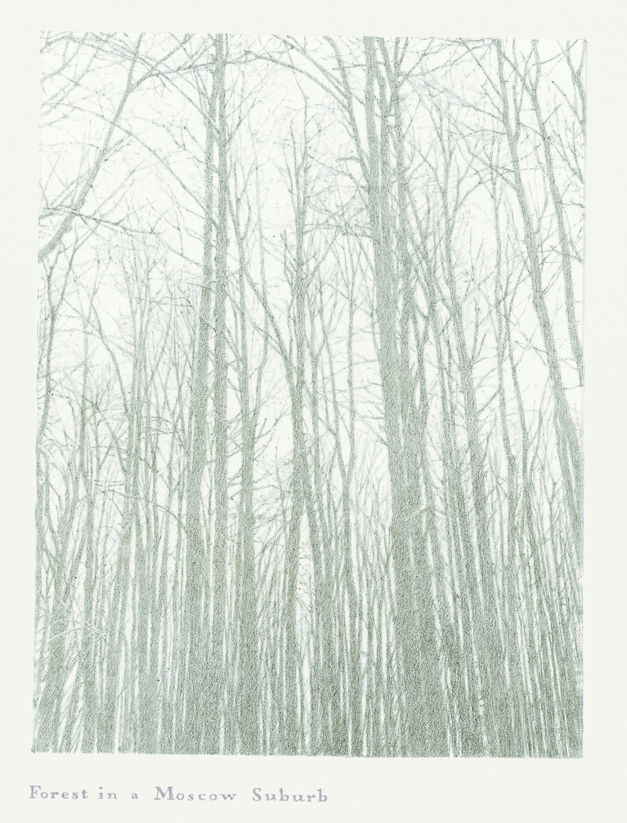 Oleg Vassiliev, Forest in a Moscow Suburb, 1996, graphite on paper, 15 x 11 inches