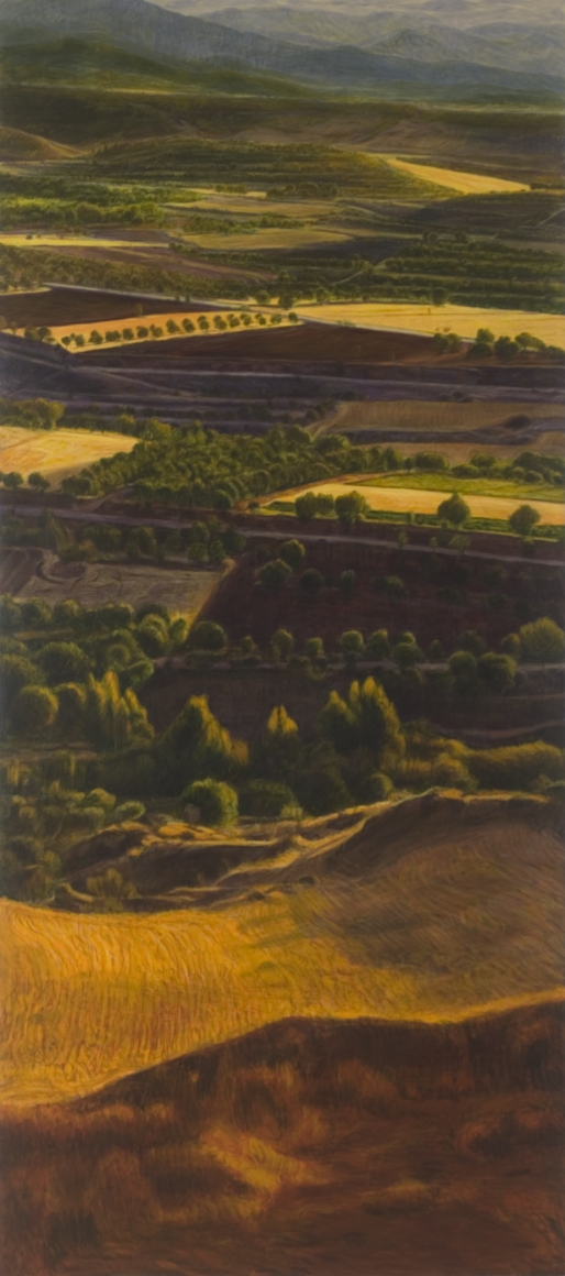 Peter Krausz, (No) Man's Land No. 12, 2008, secco on panel, 80 x 36 inches