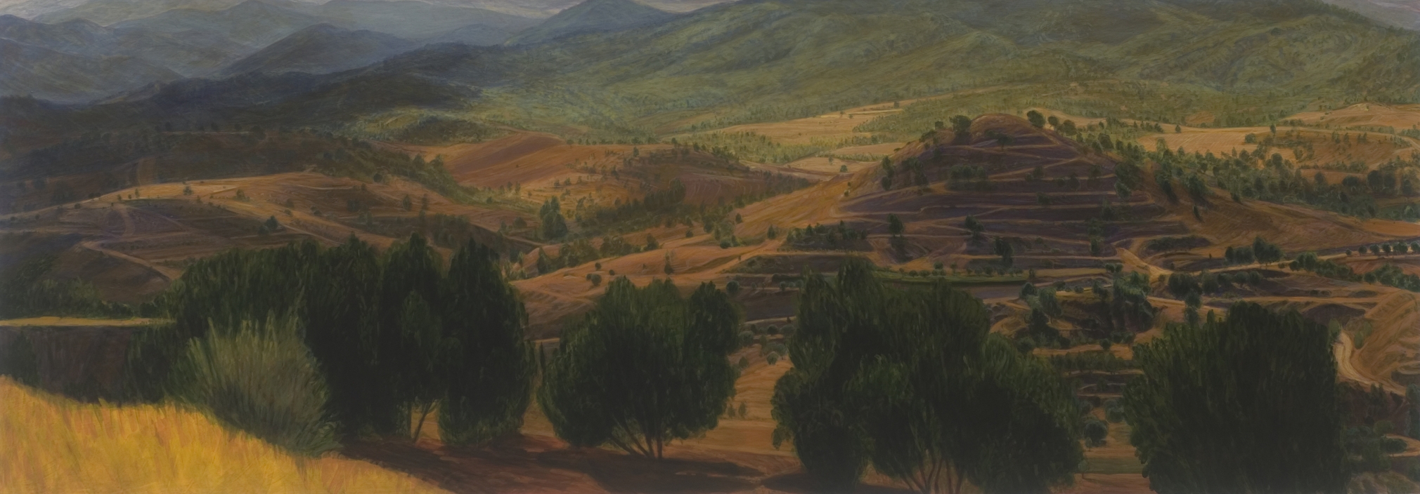 Peter Krausz, (No) Man's Land No. 13, 2008, secco on panel, 28 x 80 inches