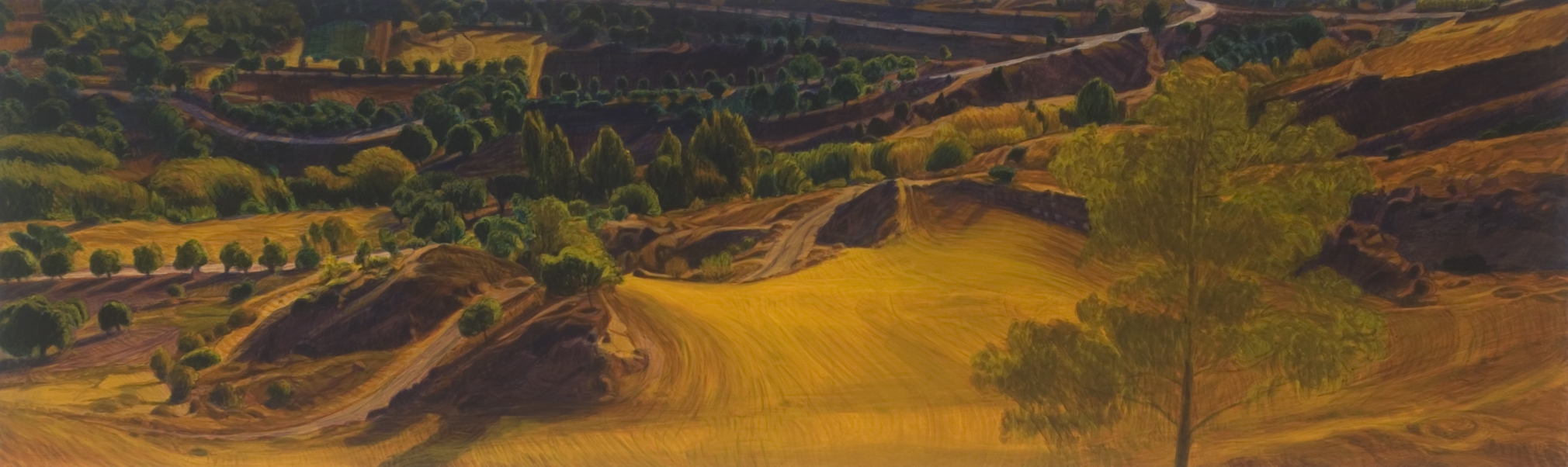 Peter Krausz, (No) Man's Land No. 14, 2008, secco on panel, 24 x 80 inches