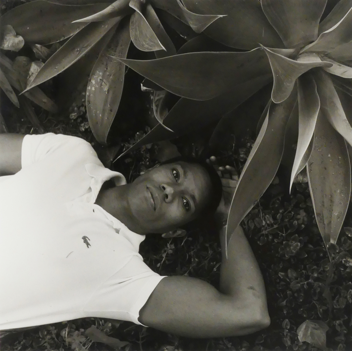 Larry Duplechan by Robert Giard