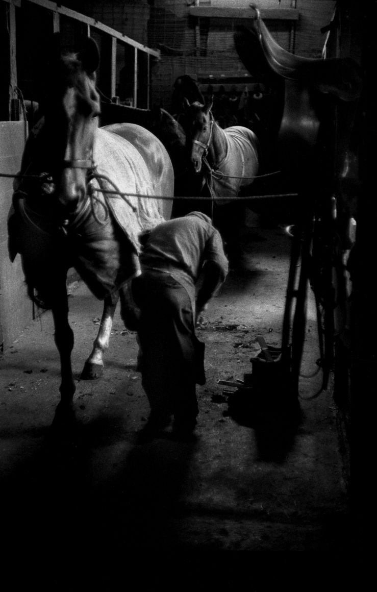 Blacksmith by Vivian Cherry