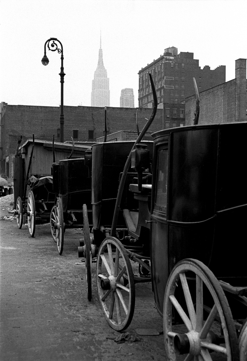 Carriages by Vivian Cherry