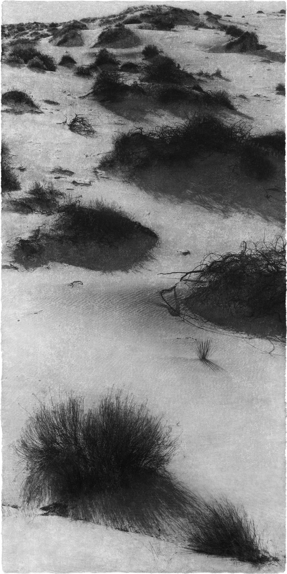 Jungjin Lee. Opening 21 (Ed. 2/10 + 3AP), 2016. Archival pigment print on Korean Mulberry paper, 145.5 × 76.5 cm (paper size). Courtesy of the artist & PKM Gallery.