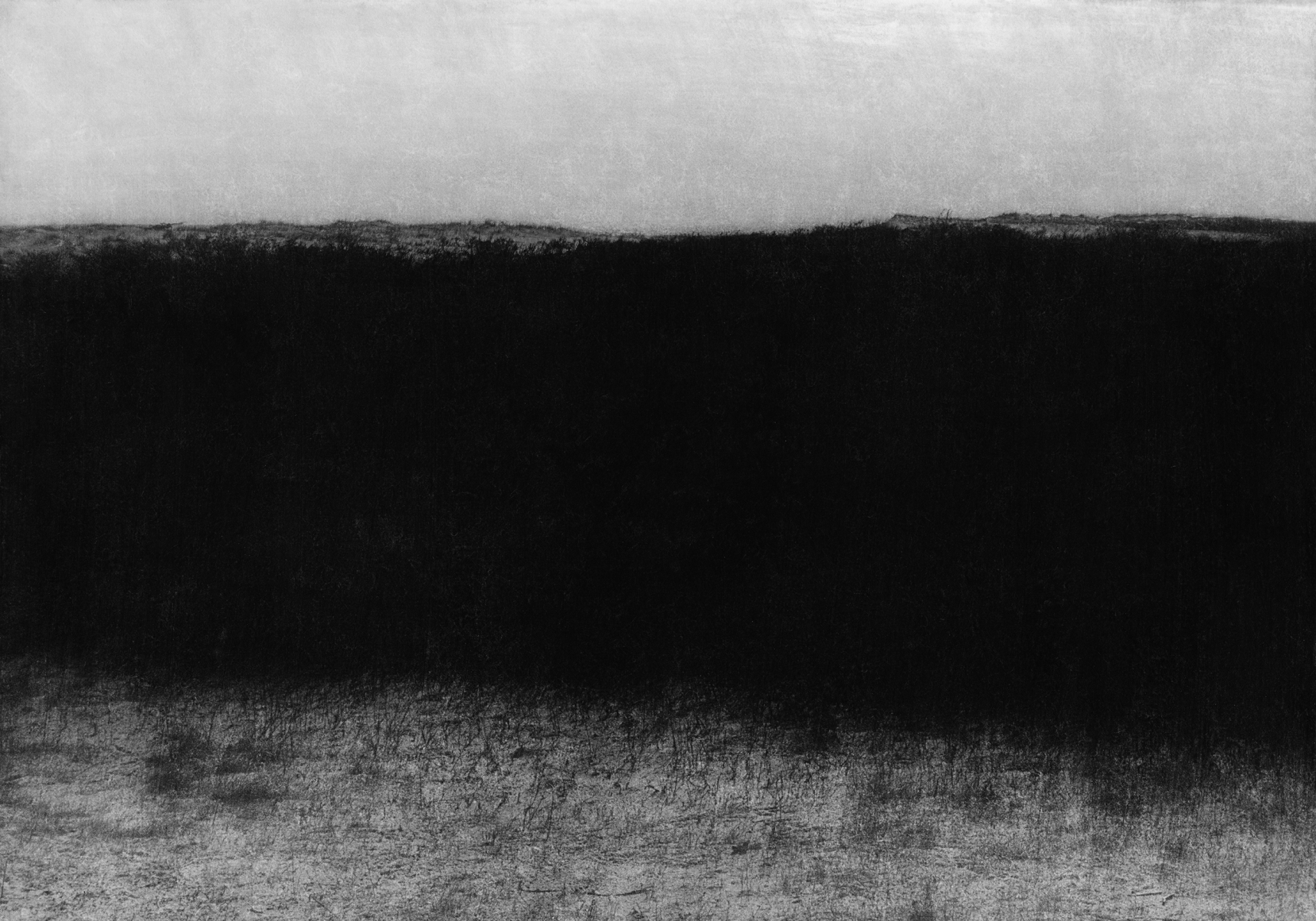 Jungjin Lee. Voice 25 (Ed. 1/3 + 2AP), 2019. Archival Pigment Print (Inkjet print), 152.5 x 213.3 cm (paper size). Courtesy of the artist & PKM Gallery.