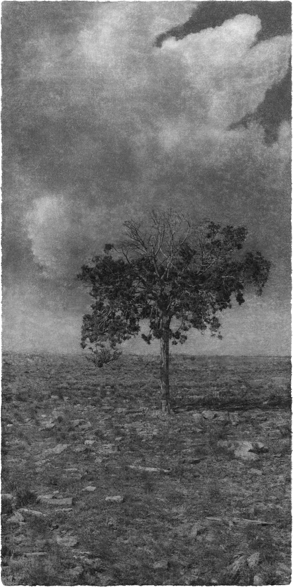 Jungjin Lee. Opening 17 (Ed. 8/10 + 3AP), 2016. Archival pigment print on Korean Mulberry paper, 145.5 × 76.5 cm (paper size). Courtesy of the artist & PKM Gallery.