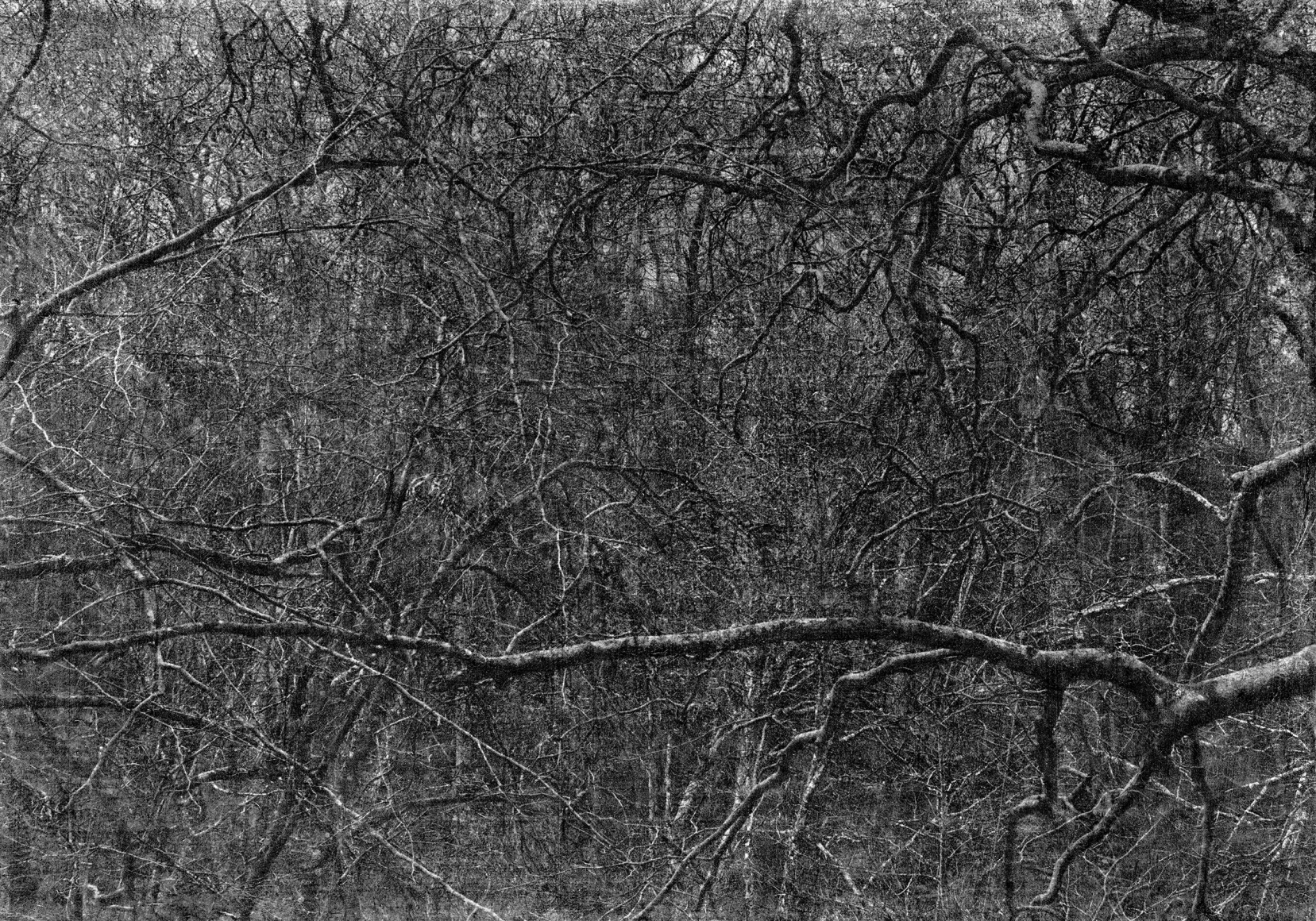 Jungjin Lee. Voice 15 (Ed. 1/7 + 3AP), 2019. Archival Pigment Print (Inkjet print), 108.5 x 153 cm (paper size). Courtesy of the artist & PKM Gallery.