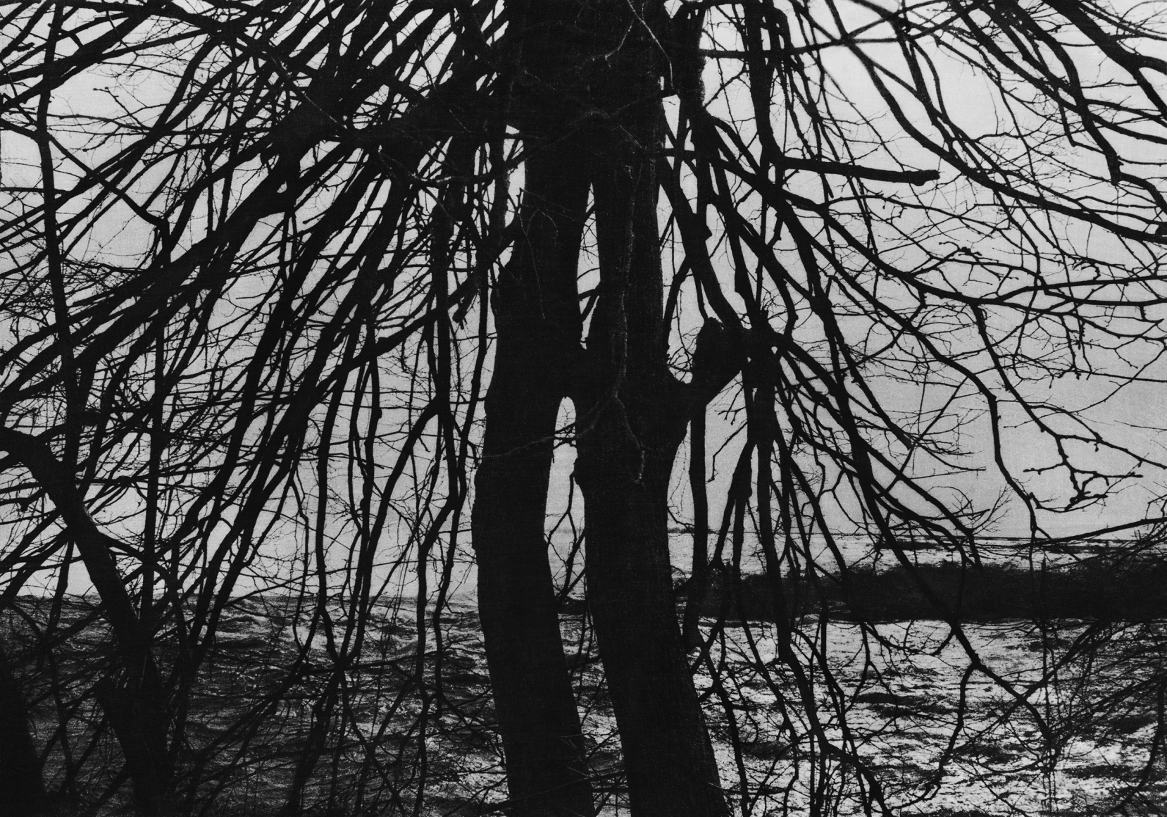 Jungjin Lee. Voice 08 (Ed. 1/7 + 3AP), 2019. Archival Pigment Print (Inkjet print), 108.5 × 153 cm (paper size). Courtesy of the artist & PKM Gallery.
