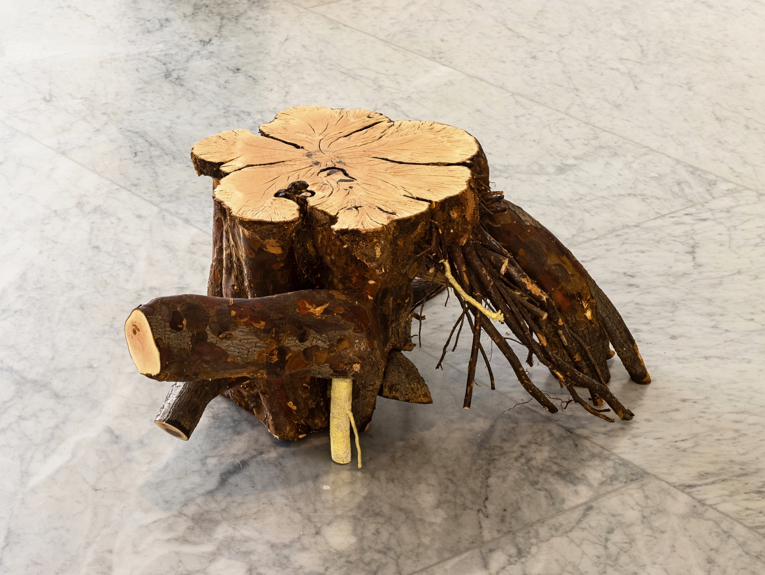 Koo Hyunmo. 모과나무 Quince tree, 2021, Quince tree, brass, 73 x 55 x 28.5 cm. Courtesy of the artist & PKM Gallery.