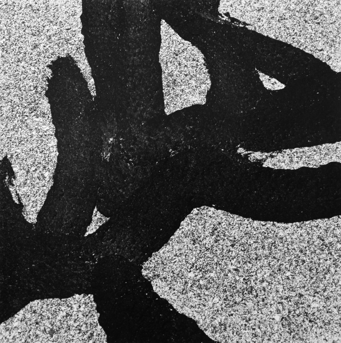 Westport 65, 1988, Gelatin silver print, printed c. 1988