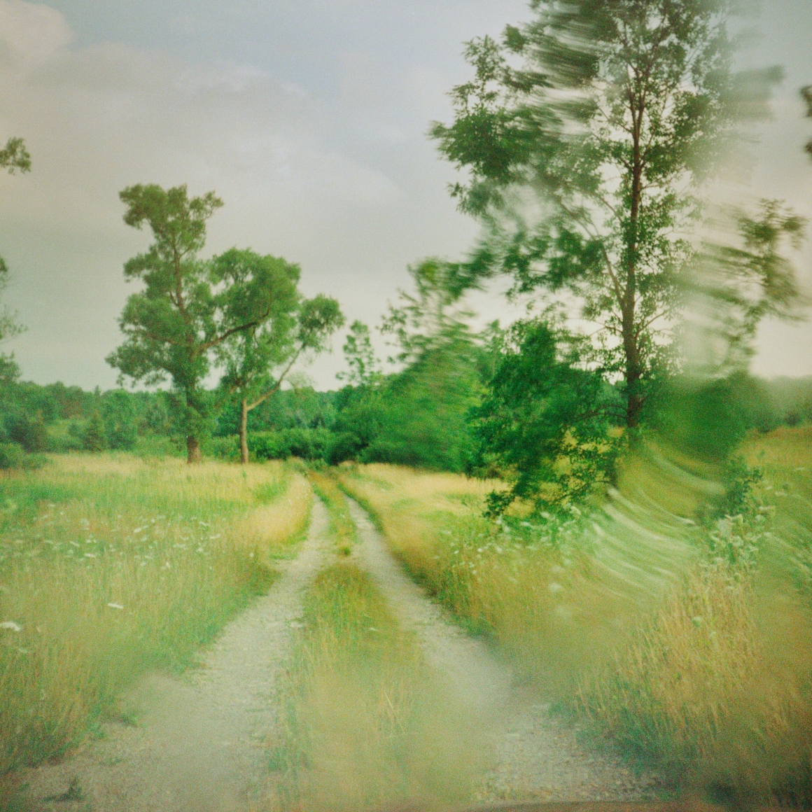 Todd Hido, #8227-a, 2008