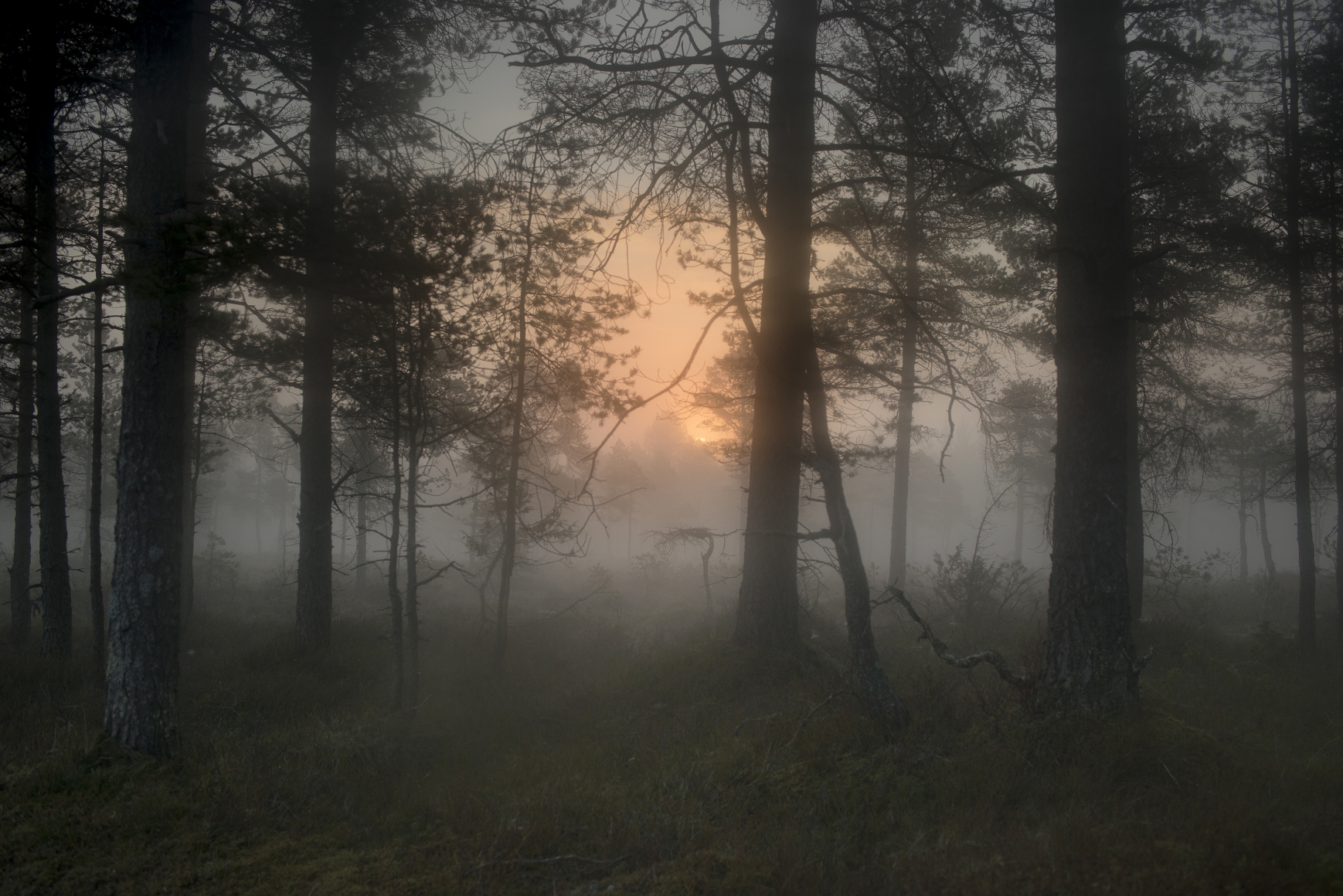 Todd Hido #11798-3868, 2018