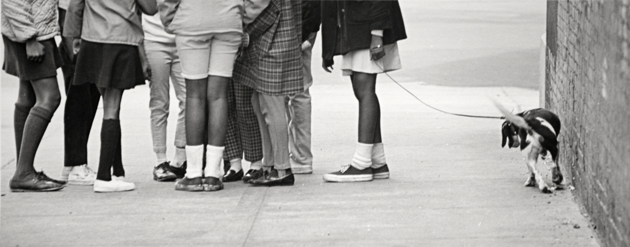 Herb Robinson - The Girls, NYC, 1969 | Bruce Silverstein Gallery