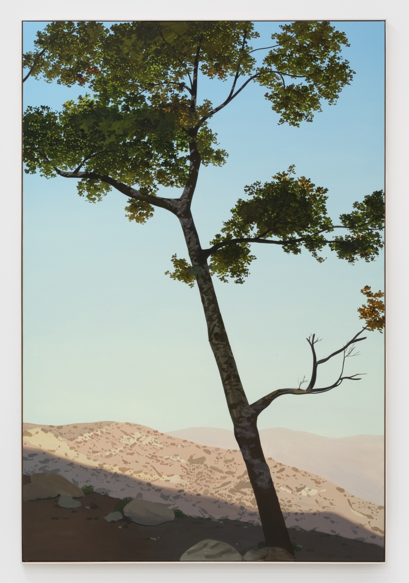 Jake Longstreth, In Glendale (Live Oak 1), 2019