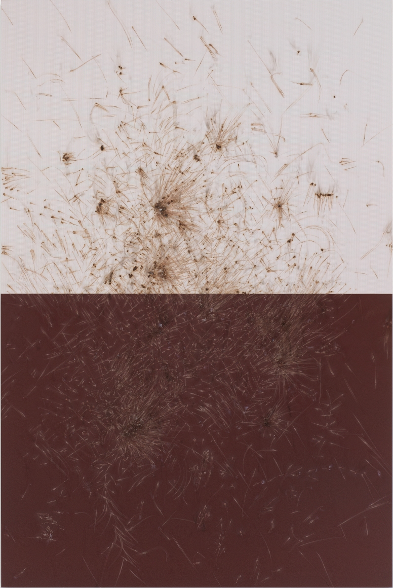 Thomas Wachholz LUCIFER C (Reibfläche), 2017 Red phosphorous, binder and cardboard on wood 82.7 x 55.1 x 1.4 in 210 x 140 x 3.5 cm (TW17.011)
