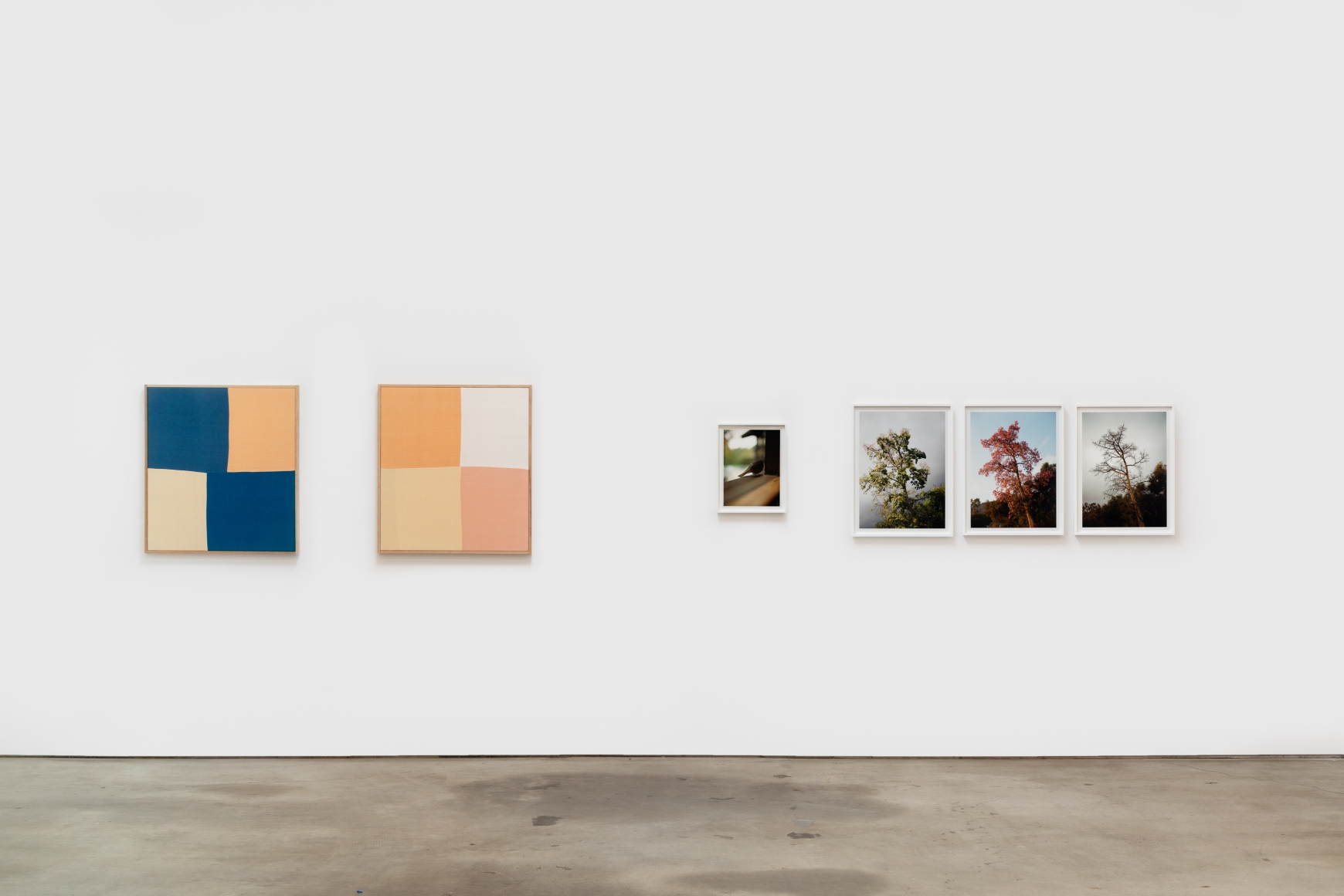 Installation Shot of Echo Chords (August 15–August 22, 2020), Nino Mier Gallery, Los Angeles, CA