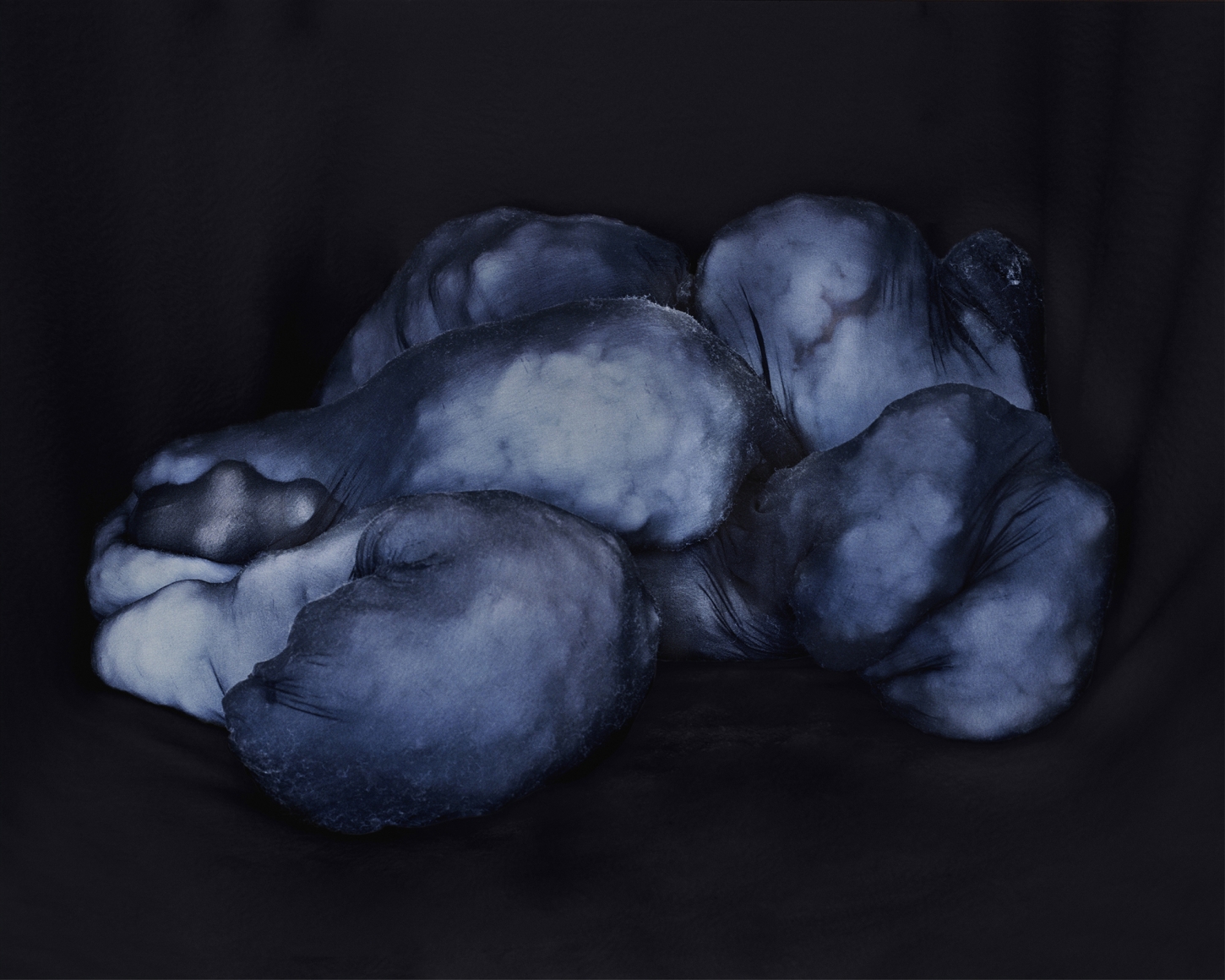 Polly Borland Morph 15, 2018 Archival pigment print 162.5 x 200 cm, paper size 64 x 78.75 in, paper size Edition of 6 plus 3 artist's proofs (POB18.004)