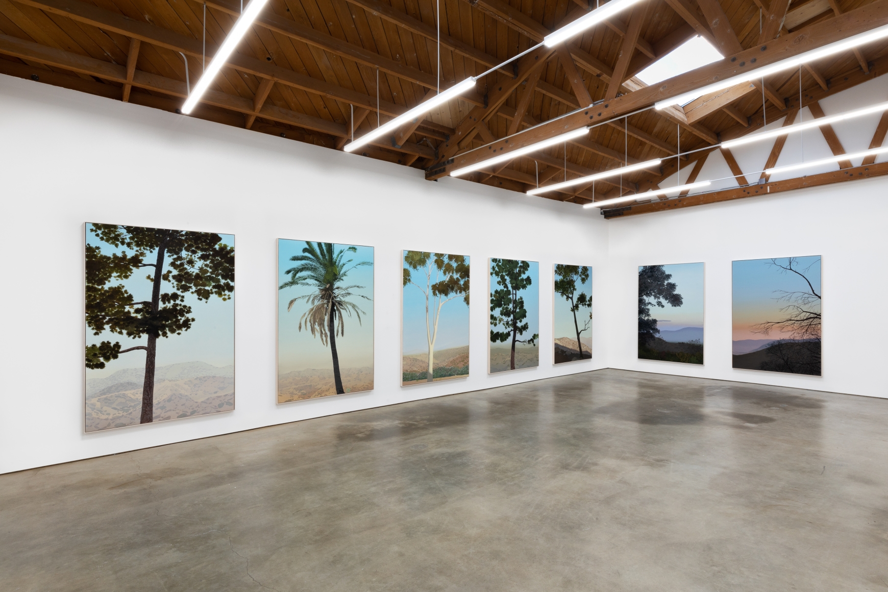 Seven Trees Installation View 1