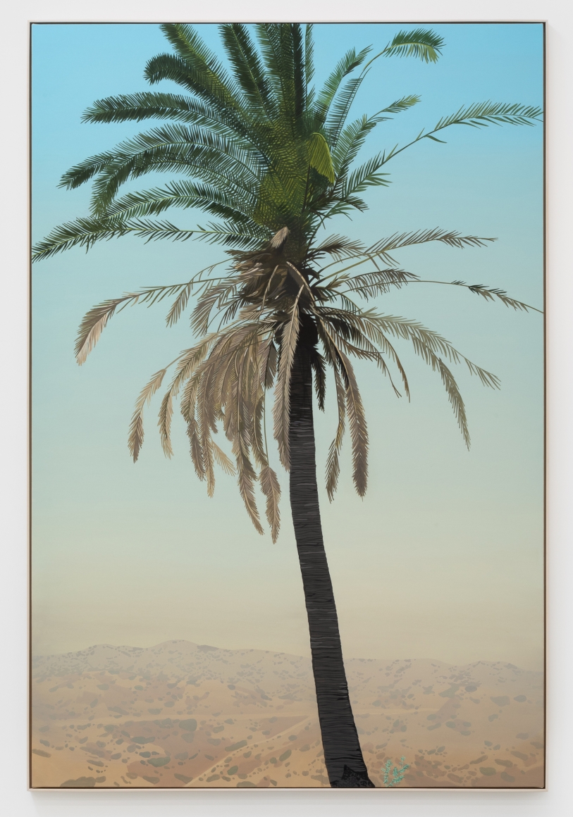 Jake Longstreth, In Glendale (Fan Palm), 2019