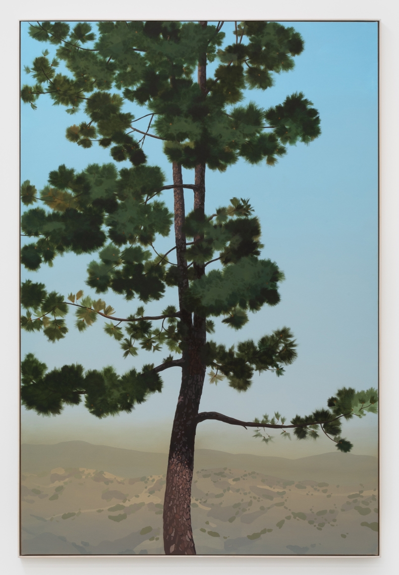 Jake Longstreth, In Glendale (Canary Island Pine 1), 2019