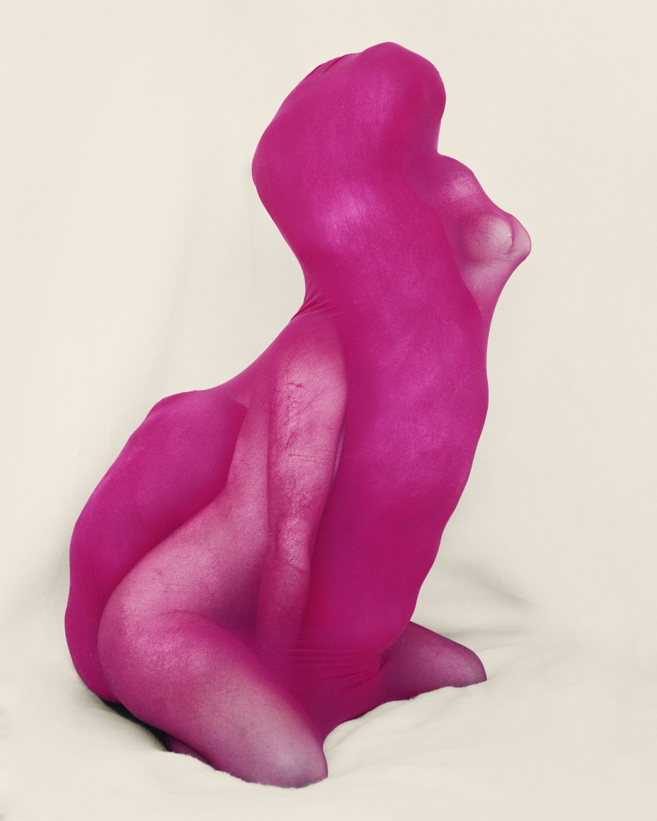Polly Borland Morph 31, 2018 archival pigment print 200 x 162.5 cm, paper size 78.75 x 64 in, paper size Edition of 6 plus 3 artist's proofs (POB18.005)