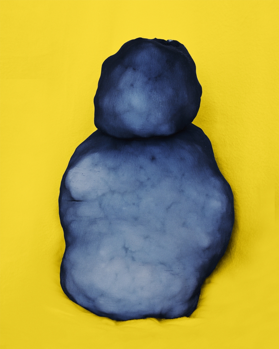 Polly Borland Morph 20, 2018 archival pigment print 92 x 78 cm 36.2 x 30.7 in Edition of 6 plus 3 artist's proofs (PBO18.017)