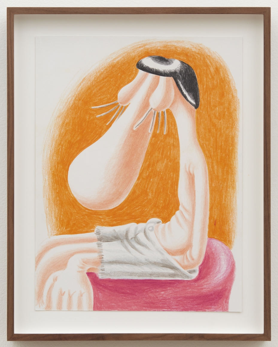 Louise Bonnet Untitled, 2016 Colored pencil on paper 9 x 12 in 22.9 x 30.5 cm (LB16.035)