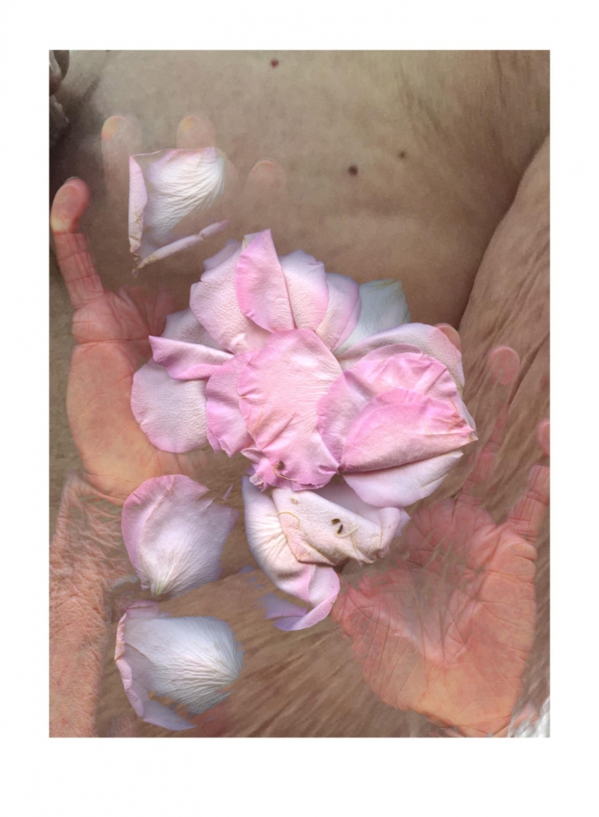 Barbara T. Smith Signifer 3, 2016 Archival inkjet print, ed. 35