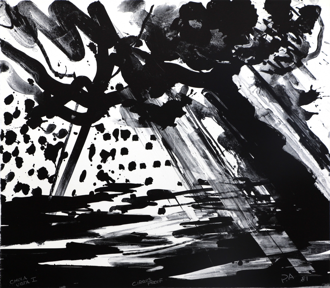 Chula Vista I, 1981