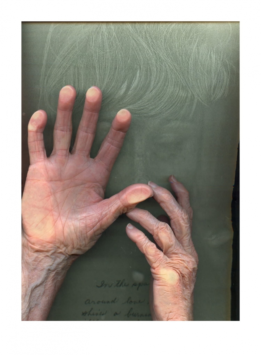 Barbara T. Smith Signifer 1, 2016 Archival inkjet print, ed. 35