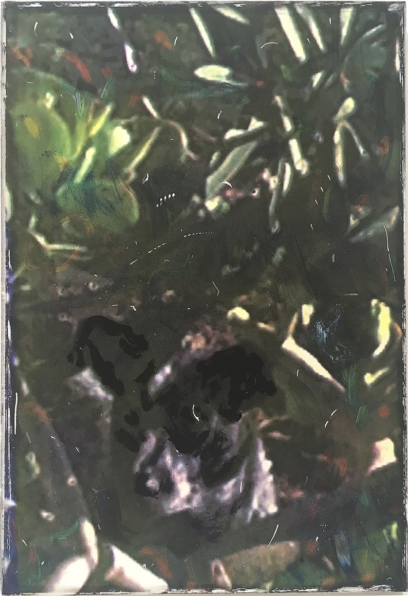 Kate Hall, Billie in the Bushes