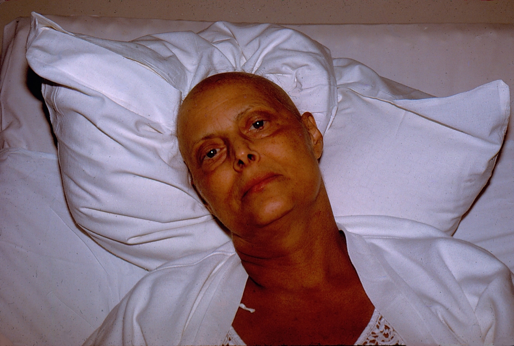 Hannah Wike, Itra Venus Series No. 7
