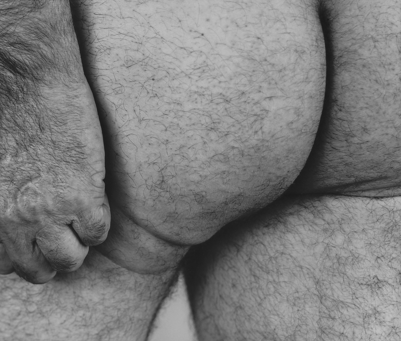 John Coplans, Hands with Buttocks