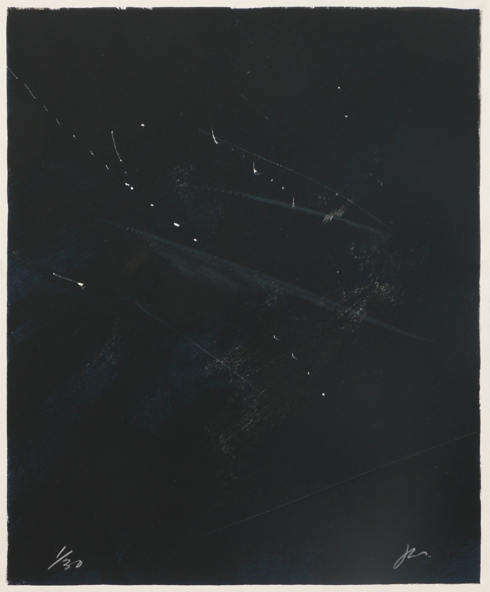 Piece from Images In Peril 11