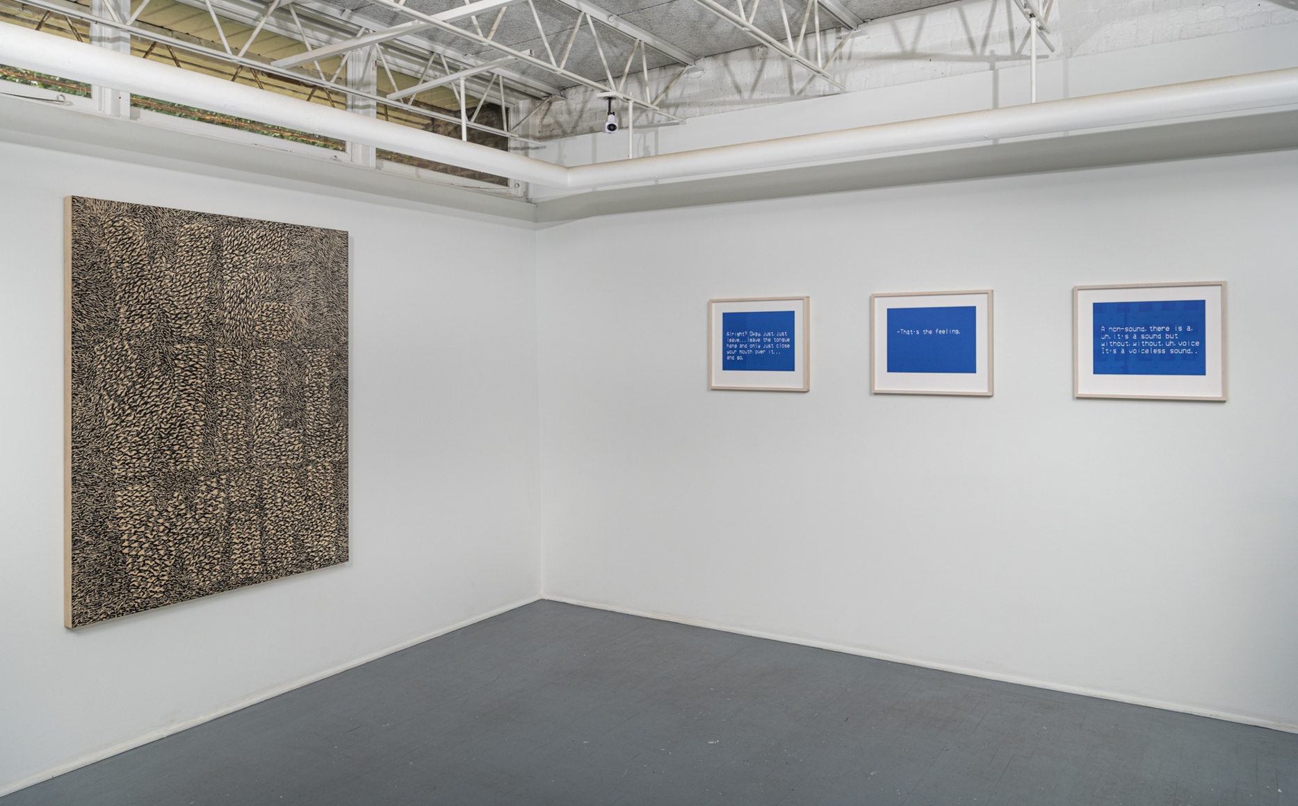 DIDIER WILLIAM The Politics of Rhetoric, 2019