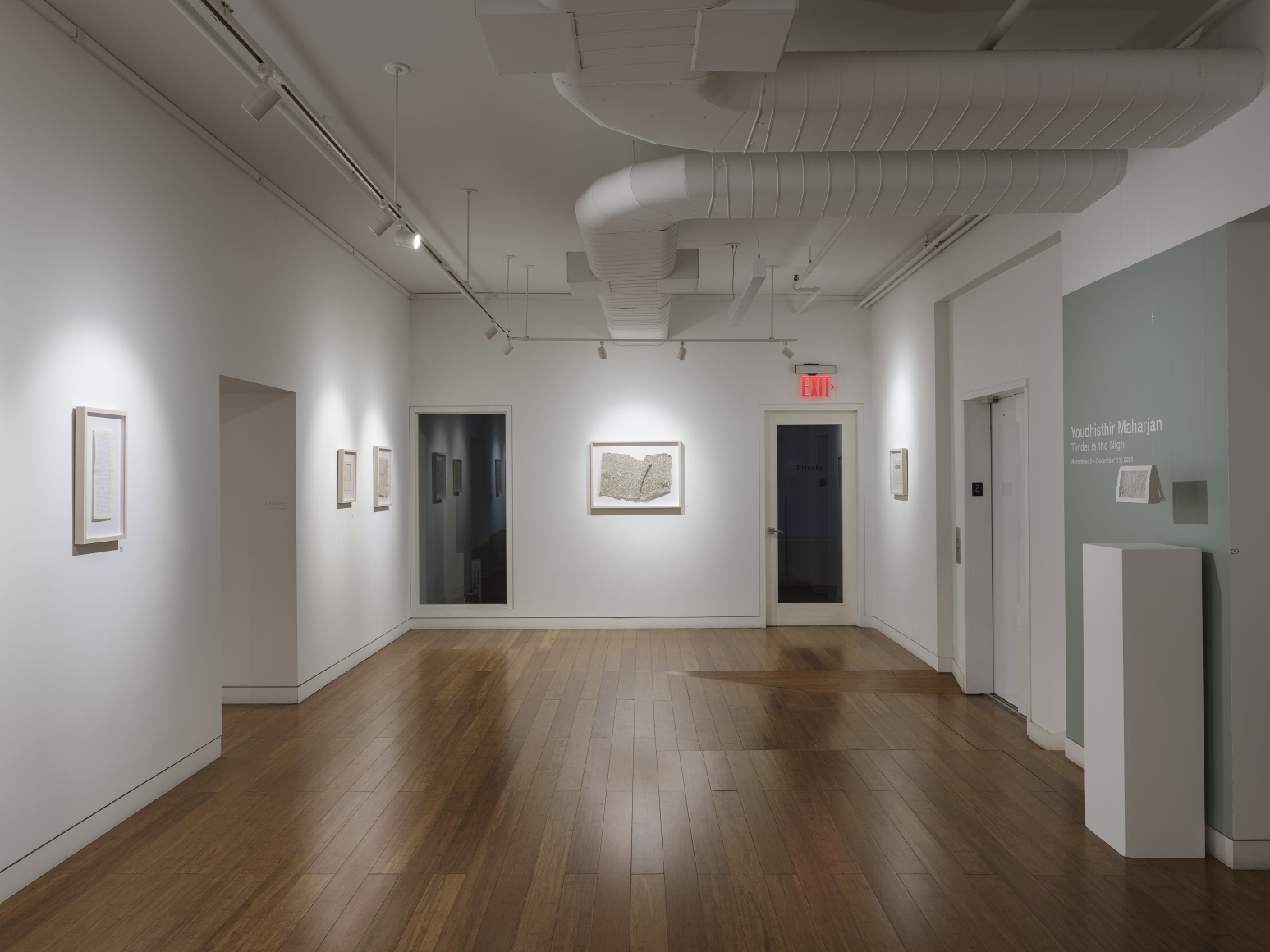 Tender is the Night, Installation View
